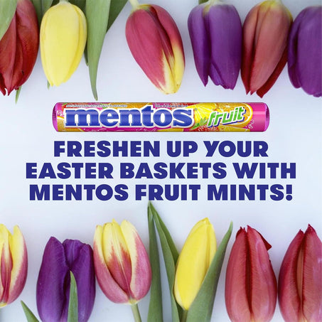 Mentos Fruit Chewy Candy Rolls – 14 Rolls per Box